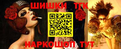 винт Будённовск