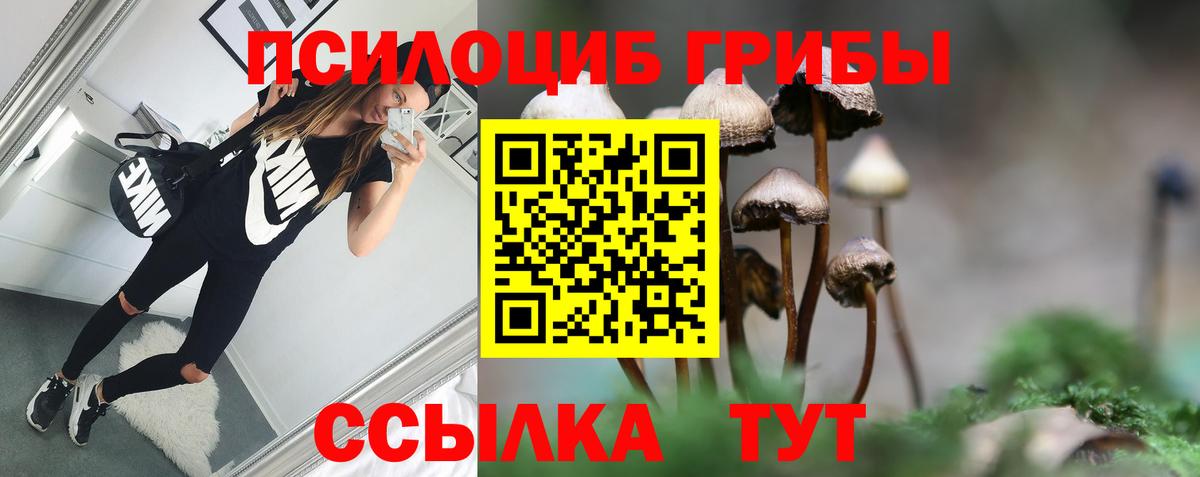 Галлюциногенные грибы мухоморы  Вход с VPN  где найти наркотики  Тобольск 
